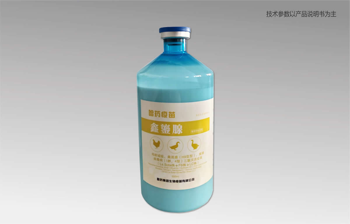 ???3?????????У?H9??????????????????I???4?????????????磨La Sota??F6??LC??